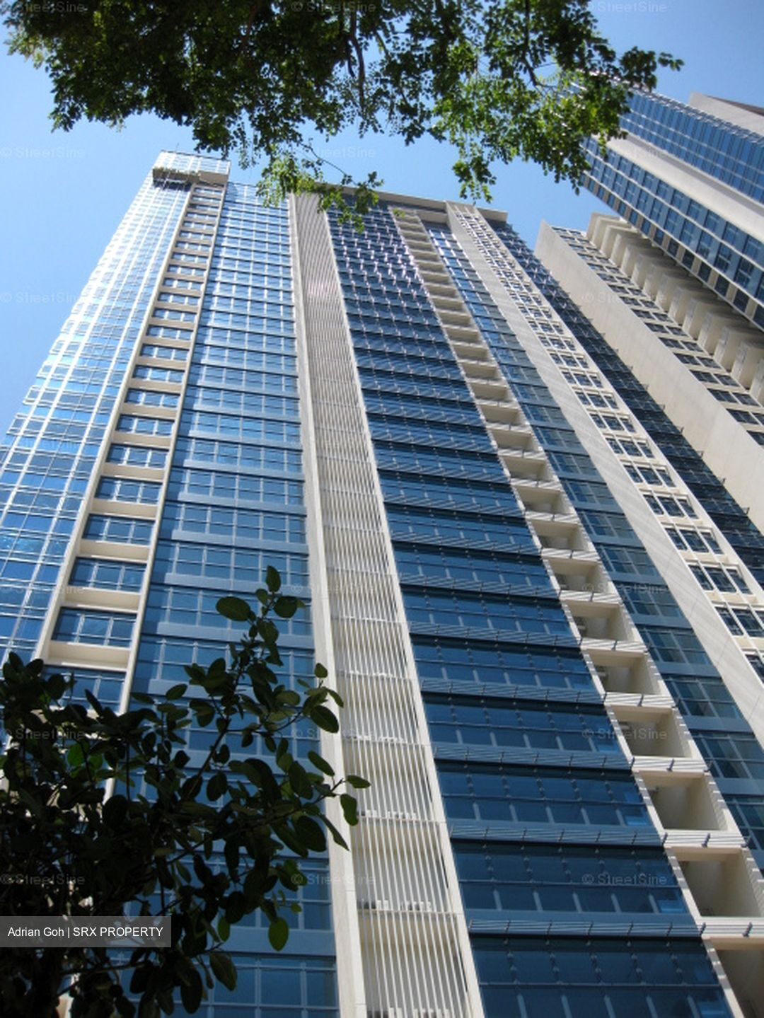City Square Residences (D8), Condominium #595185381